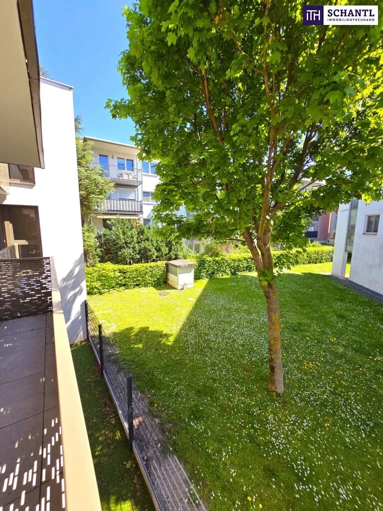 1-Zimmer-Wohnung mieten in Wien – 30,06 m², € 826 – Bild 3 von 27