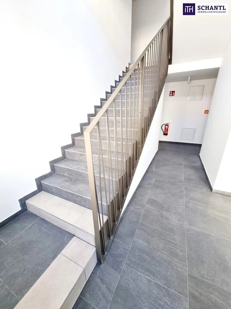1-Zimmer-Wohnung mieten in Wien – 30,06 m², € 826 – Bild 6 von 27