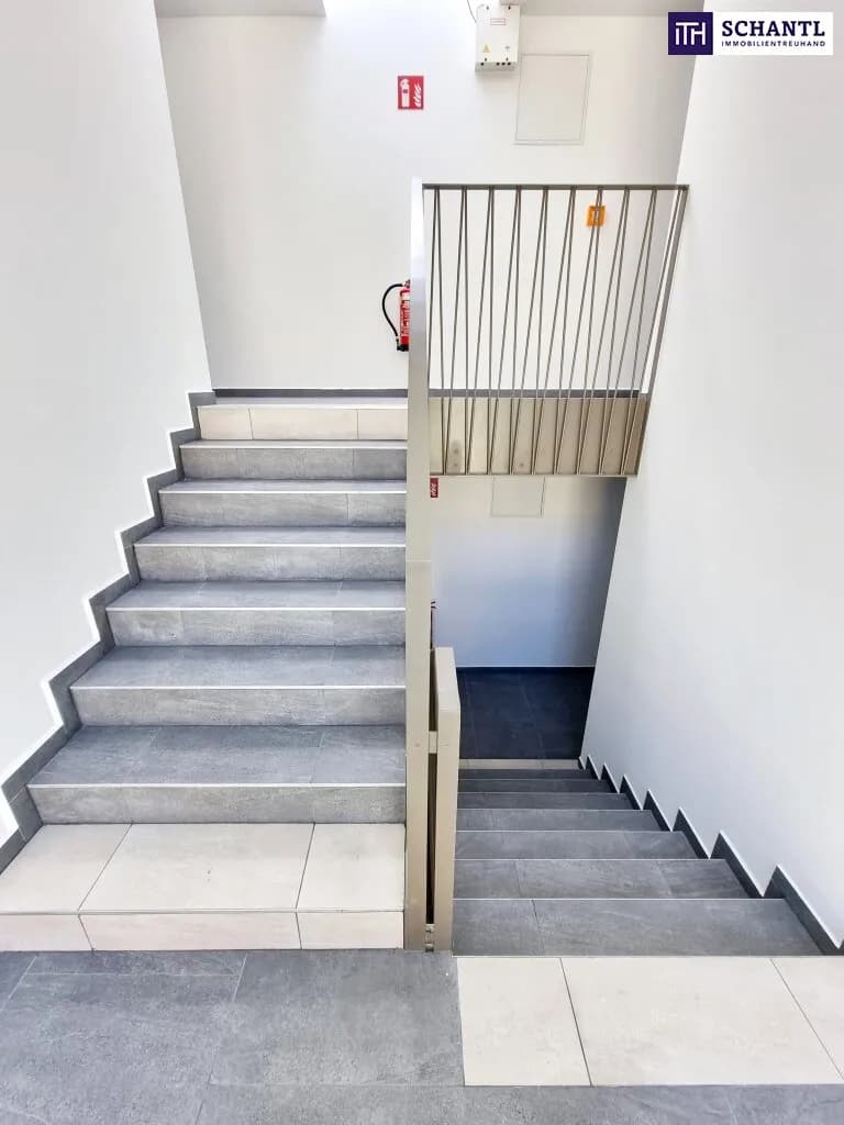 1-Zimmer-Wohnung mieten in Wien – 30,06 m², € 826 – Bild 23 von 27
