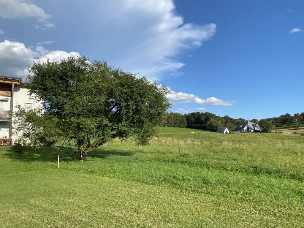 3-Zimmer-Haus kaufen in Oberwart – 106 m², € 445.000 – Bild 3 von 25