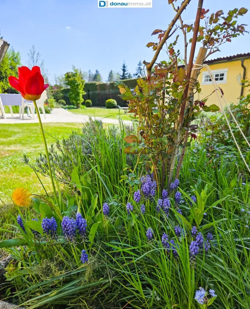 8-Zimmer-Immobilie kaufen in Gmünd – 264 m², € 590.000 – Bild 9 von 40