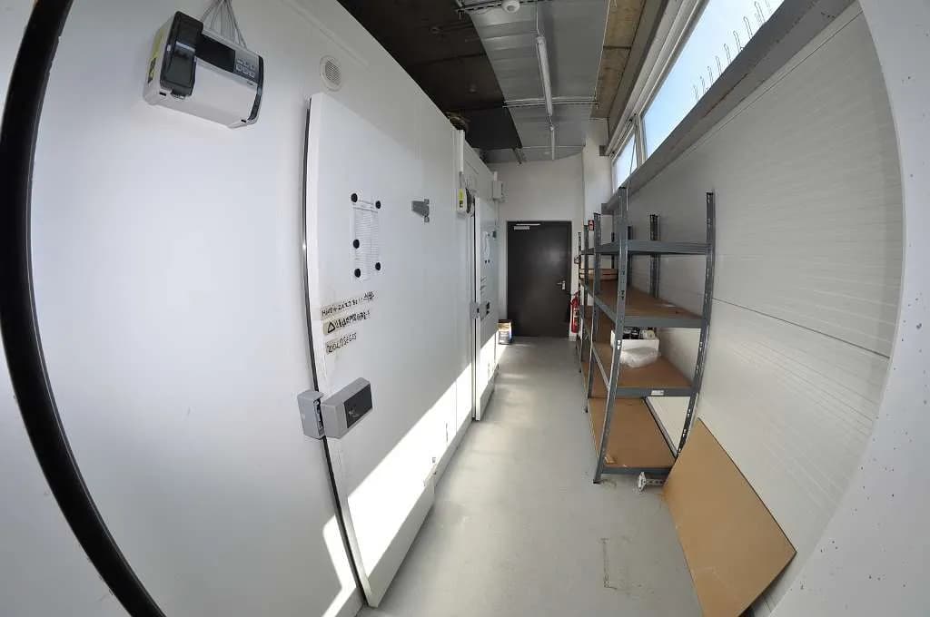 Gewerbeimmobilie mieten in Neusiedl am See – 485 m², € 9.600 – Bild 14 von 19