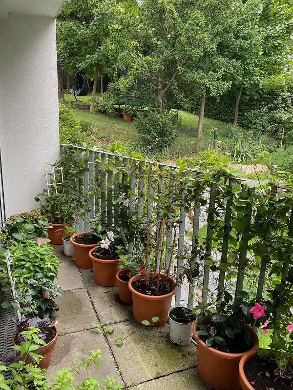 2-Zimmer-Wohnung mieten in Wien – 70 m², € 1.195 – Bild 18 von 27