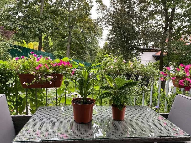 2-Zimmer-Wohnung mieten in Wien – 70 m², € 1.195 – Bild 19 von 27