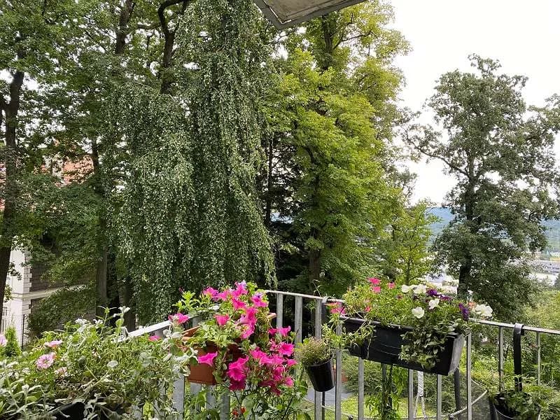 2-Zimmer-Wohnung mieten in Wien – 70 m², € 1.195 – Bild 20 von 27
