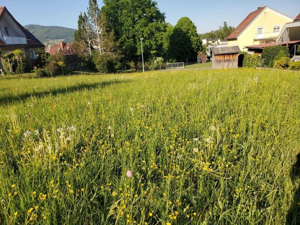 Grundstück kaufen in Weiz – 904 m², € 223.000 – Bild 3 von 6
