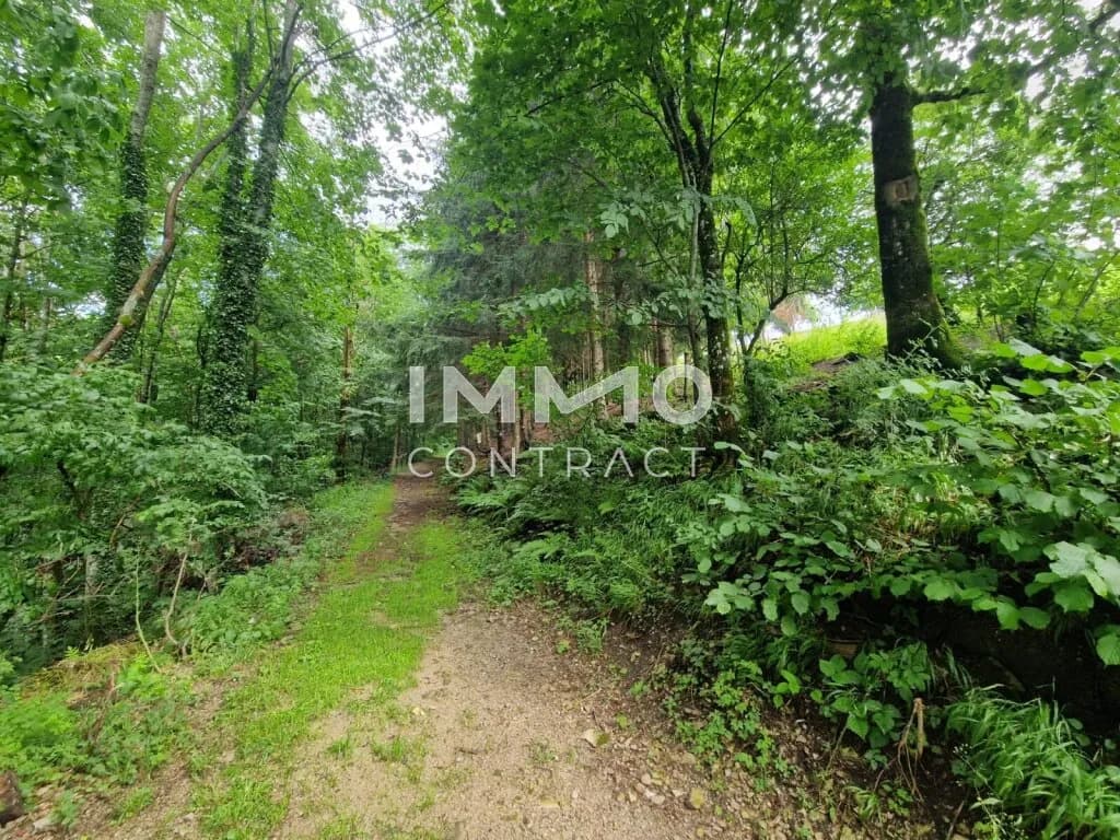 Gewerbeimmobilie kaufen in Scheibbs – 460 m², € 298.000 – Bild 16 von 17