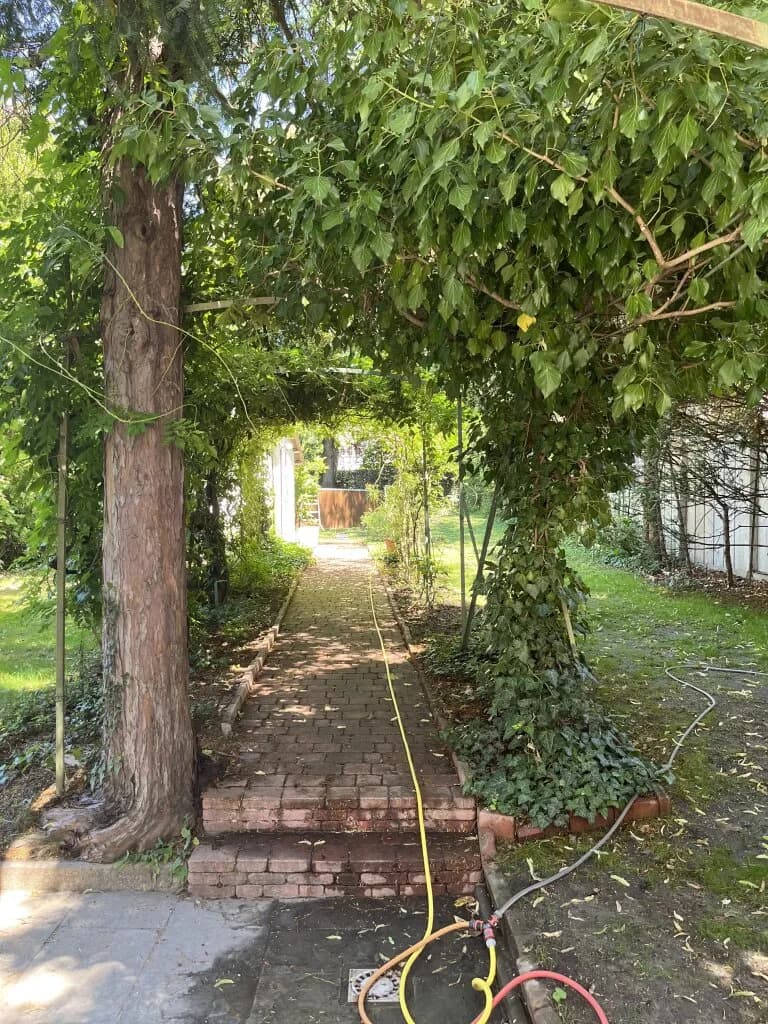 8-Zimmer-Haus mieten in Wien – 350 m², € 6.710 – Bild 29 von 36