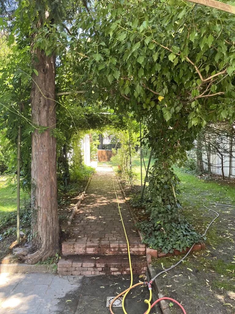8-Zimmer-Haus mieten in Wien – 350 m², € 6.710 – Bild 30 von 36