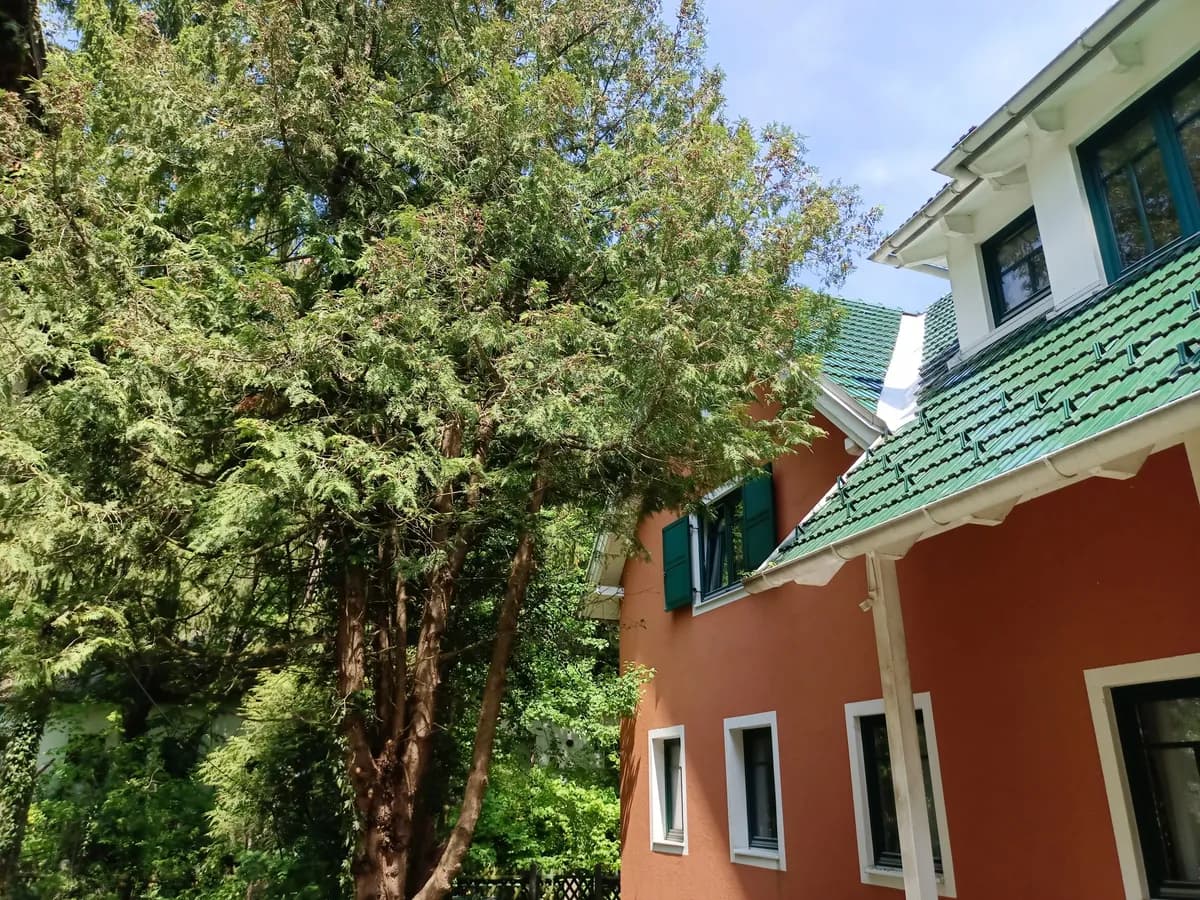 1-Zimmer-Wohnung mieten in Mödling – 18 m², € 480 – Bild 10 von 14