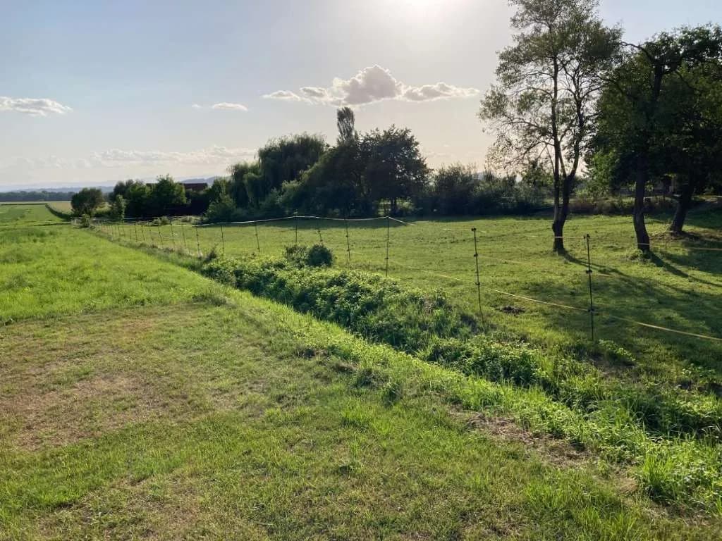 Grundstück kaufen in Leibnitz – 5 085 m², € 59 – Bild 2 von 10