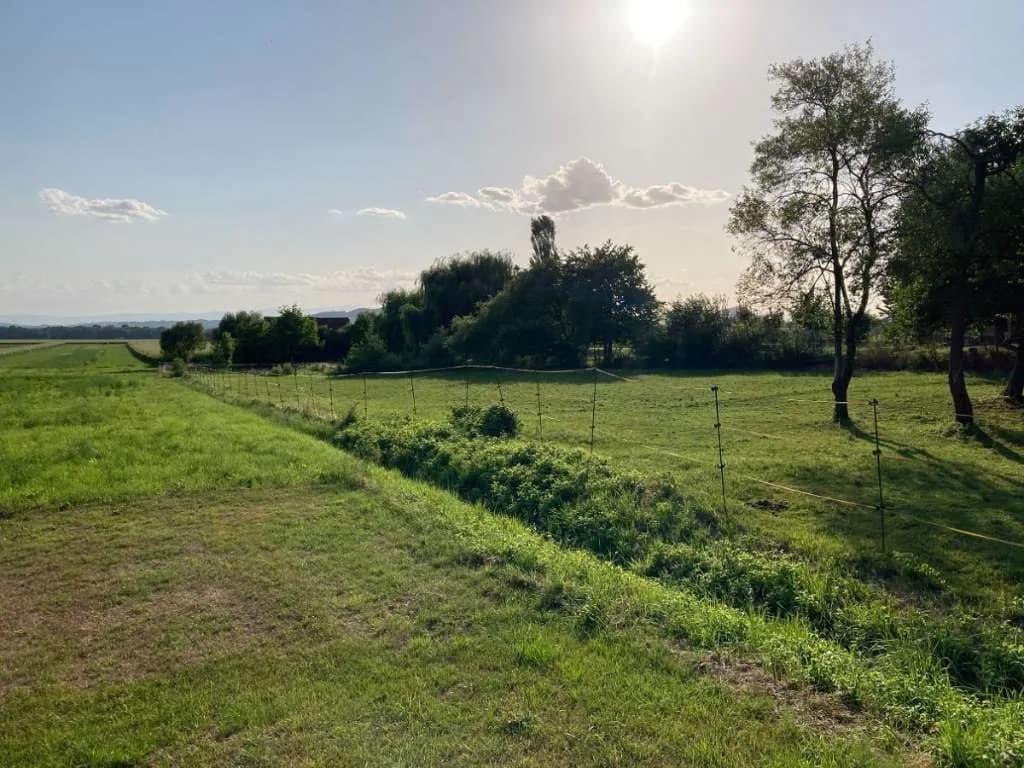 Grundstück kaufen in Leibnitz – 5 085 m², € 59 – Bild 3 von 10
