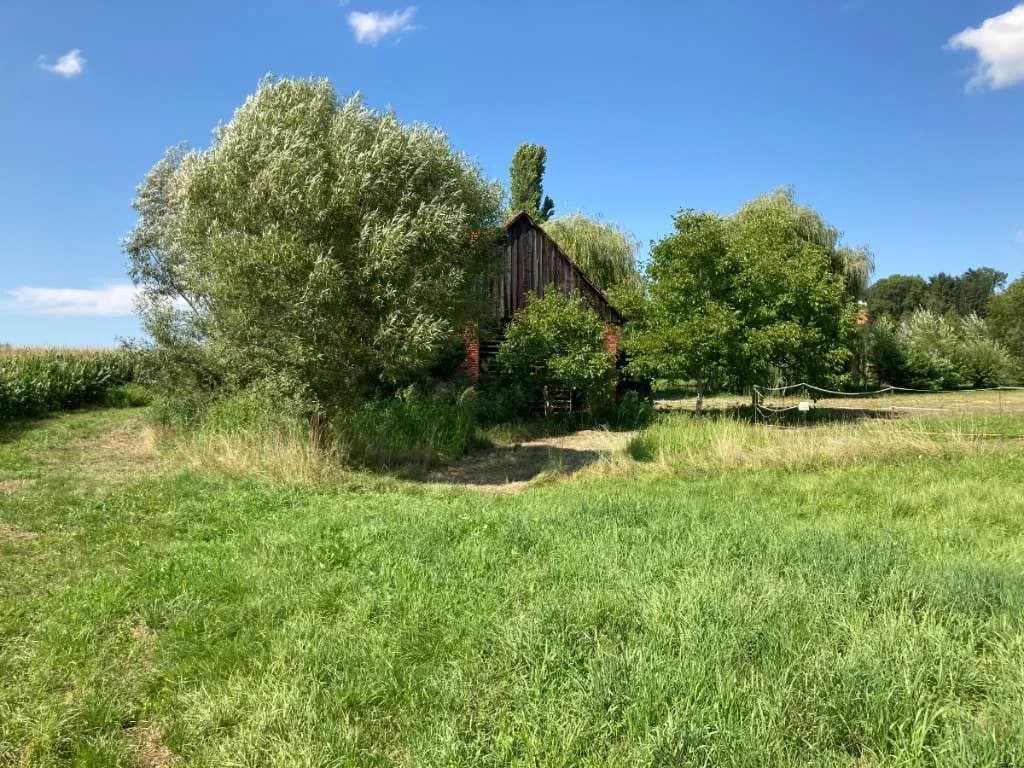 Grundstück kaufen in Leibnitz – 5 085 m², € 59 – Bild 5 von 10