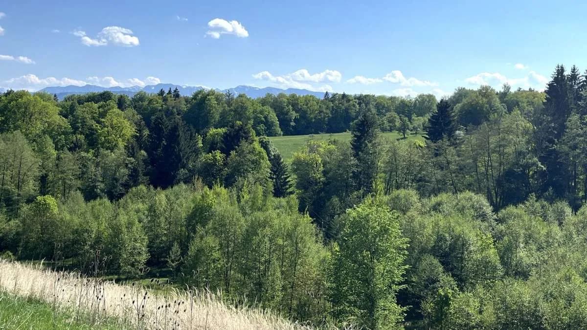 4-Zimmer-Wohnung kaufen in Vöcklabruck – 112,52 m², € 529.000 – Bild 7 von 7