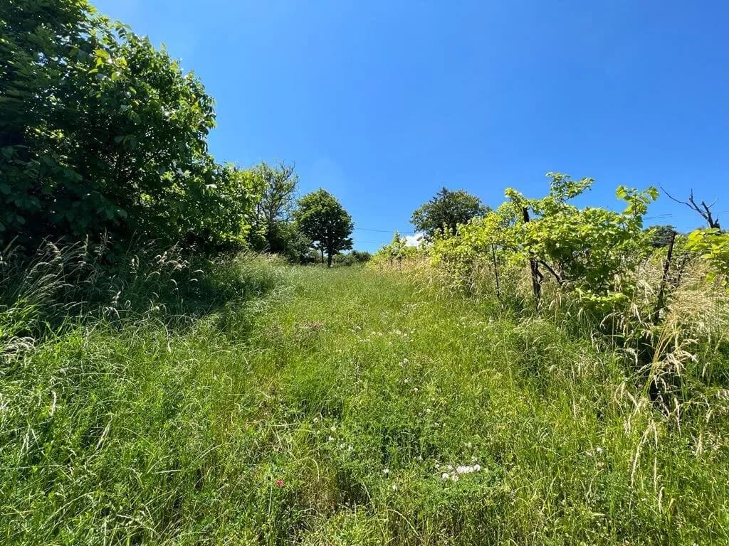 Grundstück kaufen in Wien – 1 790 m², € 561.000 – Bild 3 von 12