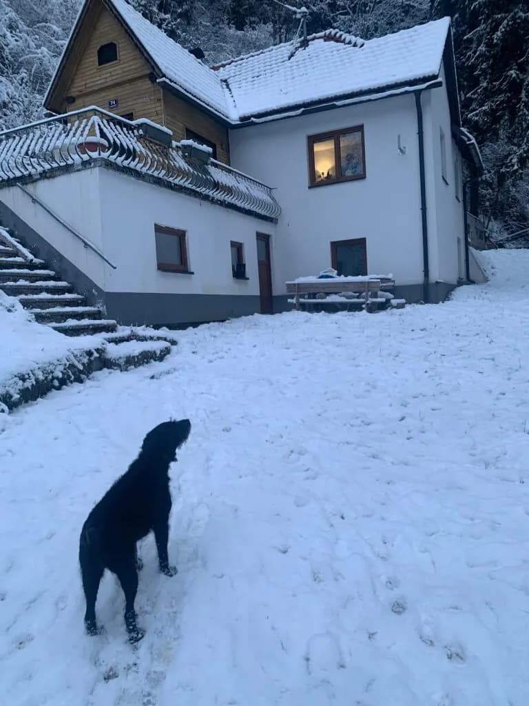 Immobilie kaufen in Spittal an der Drau – 45 m², € 129.900 – Bild 4 von 4