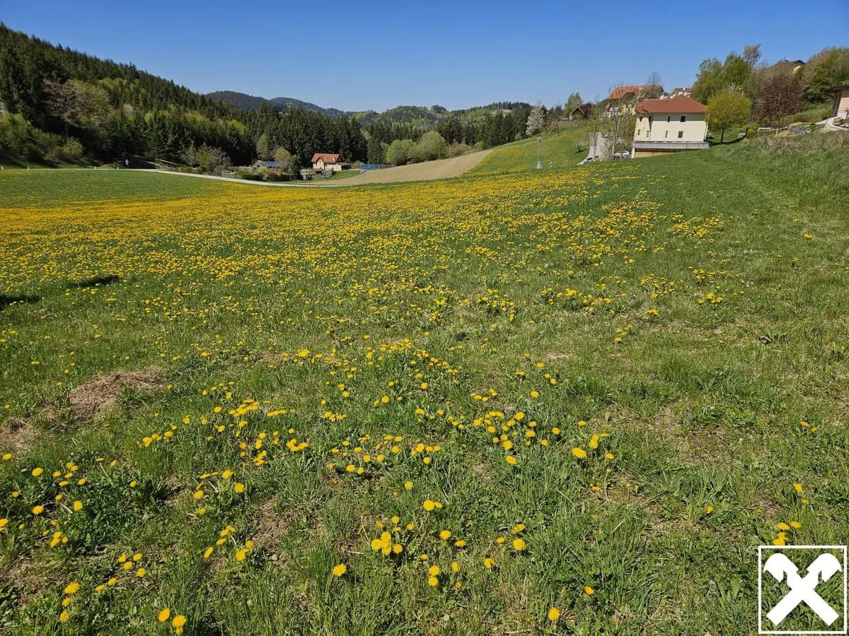 Grundstück kaufen in Perg – 1 146 m², € 28.650 – Bild 2 von 2