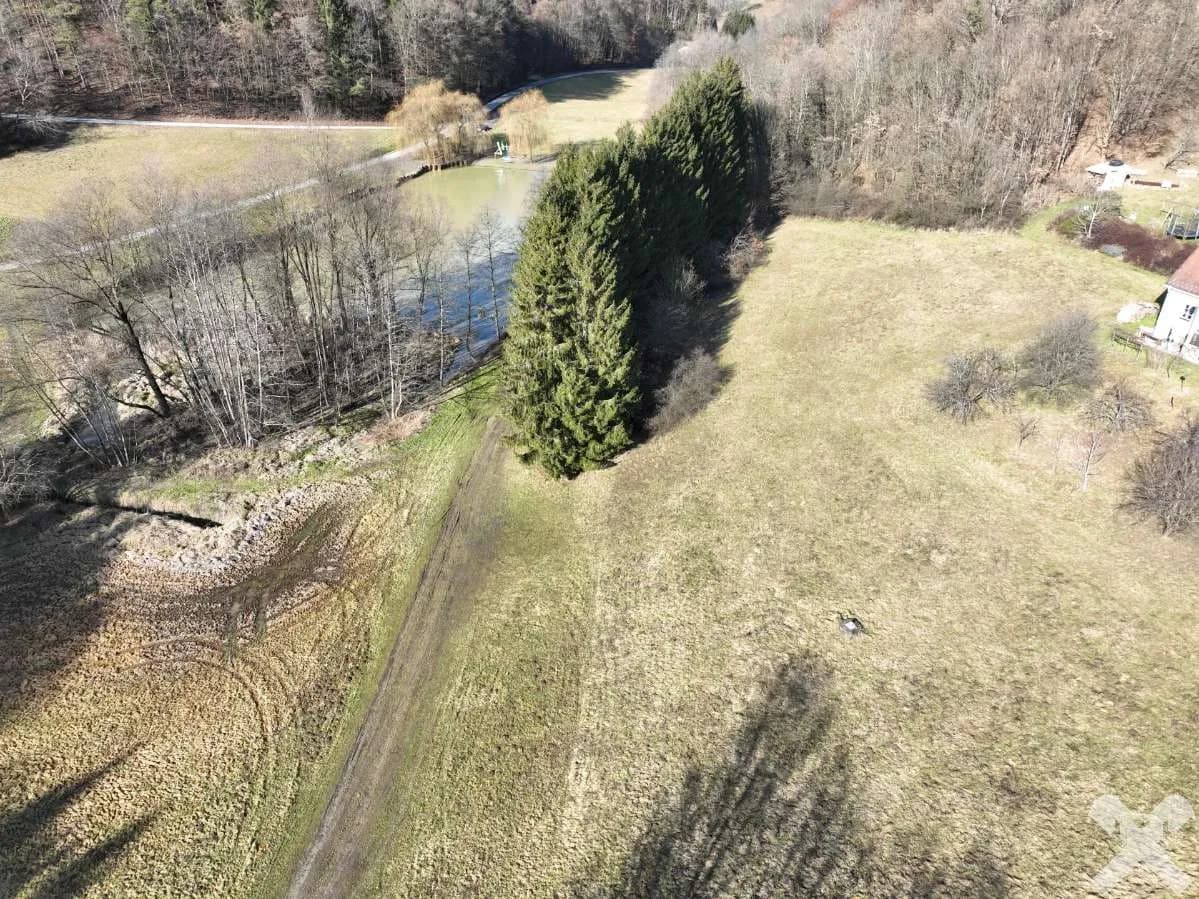 Immobilie kaufen in Hartberg-Fürstenfeld – 4 478 m², € 291.070 – Bild 4 von 4