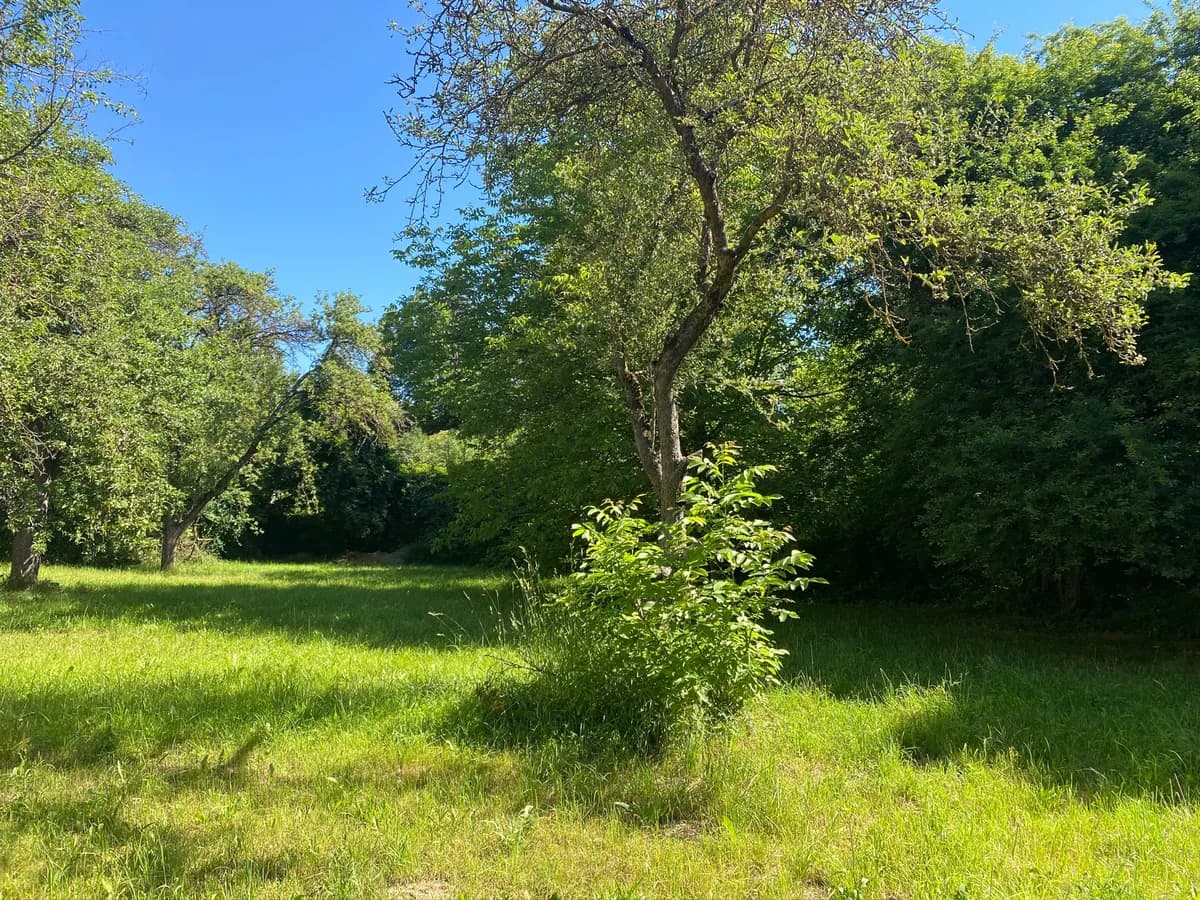 Gewerbeimmobilie kaufen in Horn – 280 m², € 218.000 – Bild 5 von 24