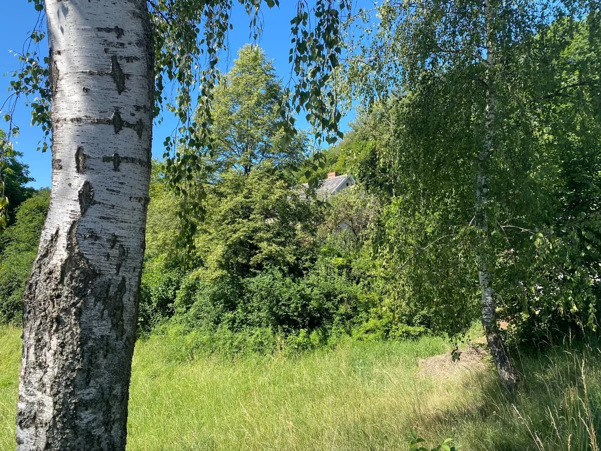Gewerbeimmobilie kaufen in Horn – 280 m², € 218.000 – Bild 7 von 24