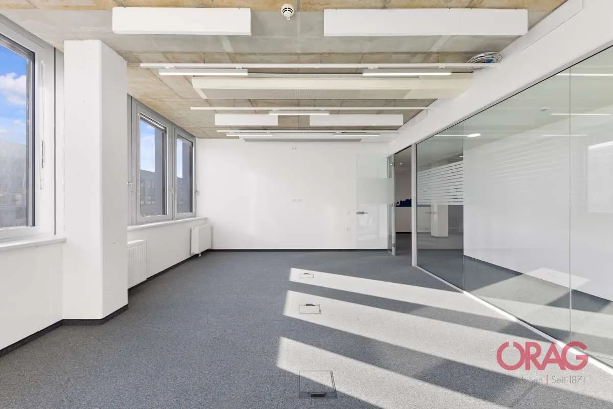 Gewerbeimmobilie mieten in Wien – 520 m², € 11.856 – Bild 5 von 7
