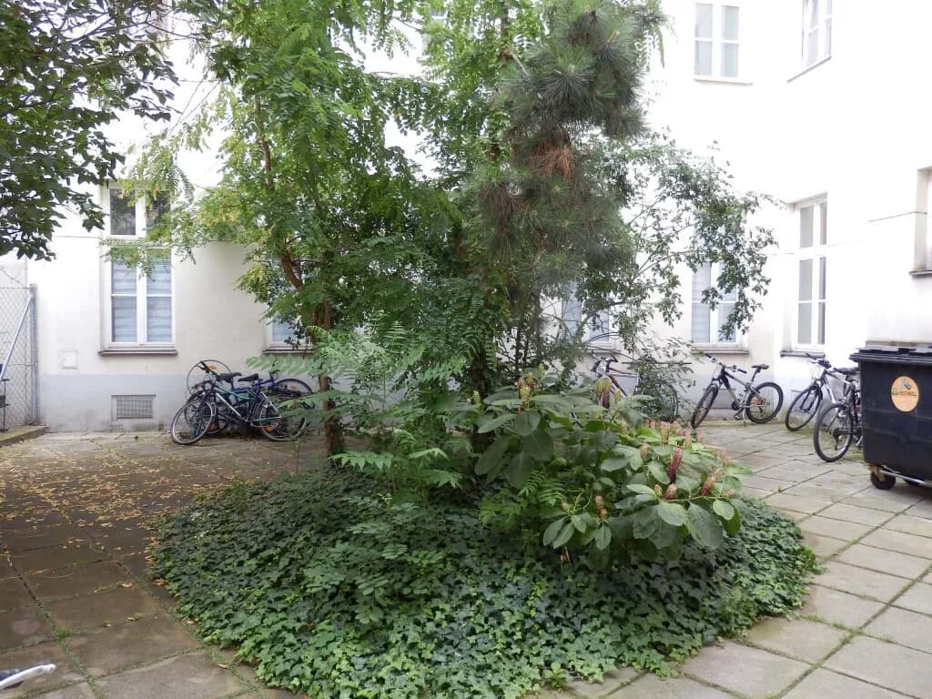 2-Zimmer-Wohnung mieten in Wien – 62,5 m², € 1.087 – Bild 15 von 17