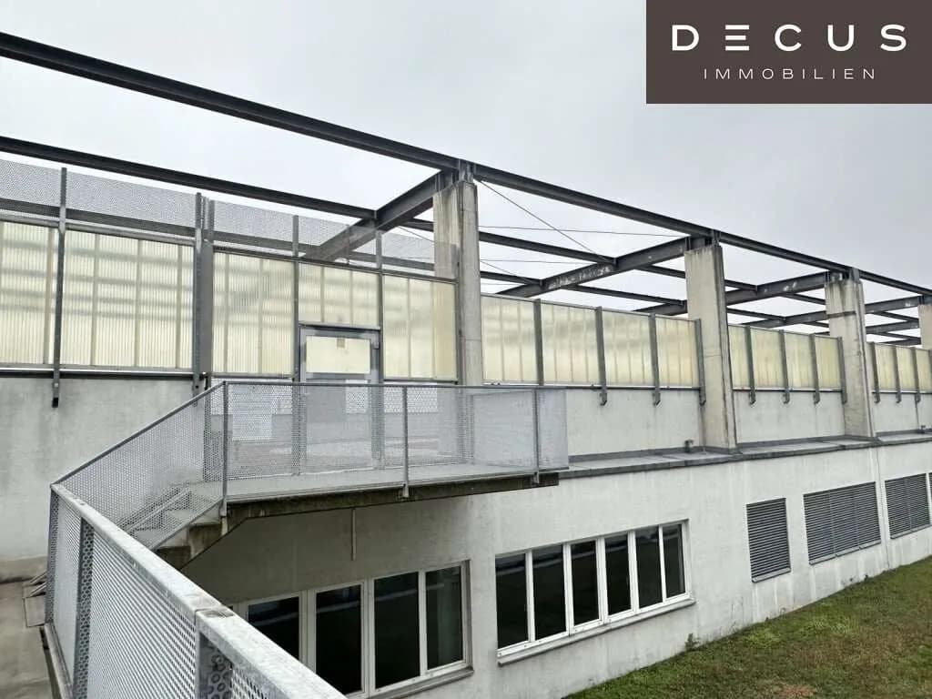 Gewerbeimmobilie mieten in Wien – 1 438 m², € 6