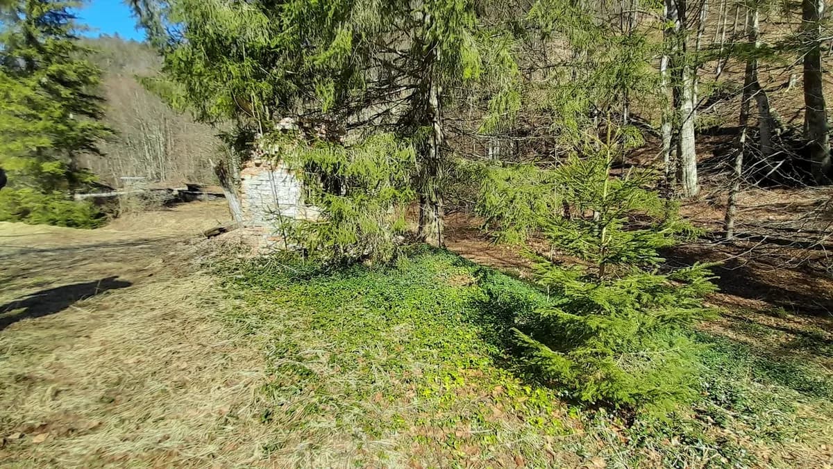 Grundstück kaufen in Klagenfurt Land – 10 700 m², € 129.500 – Bild 2 von 2