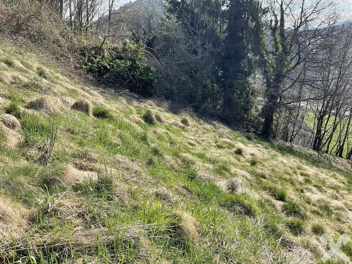 Grundstück kaufen in Deutschlandsberg – 2 062 m², € 55.000 – Bild 6 von 6