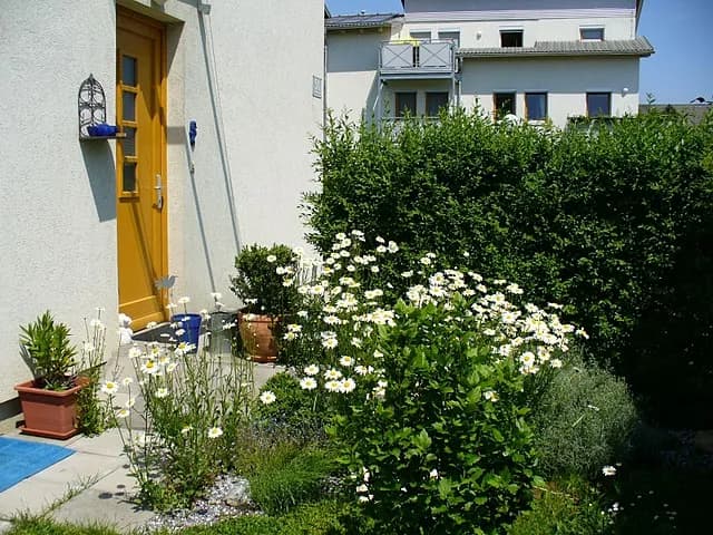 2-Zimmer-Wohnung mieten in Graz – 46 m², € 590