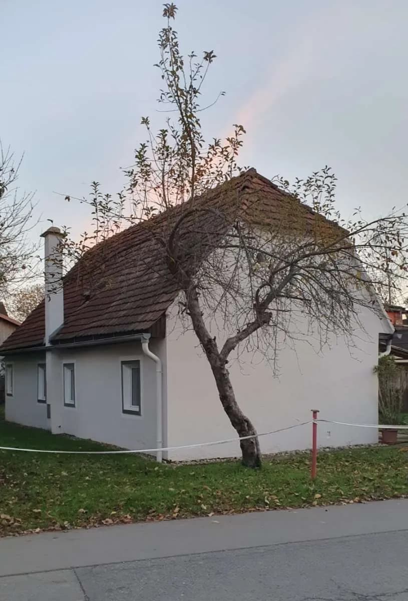 3-Zimmer-Haus kaufen in Südoststeiermark – 60 m², € 136.000 – Bild 3 von 17