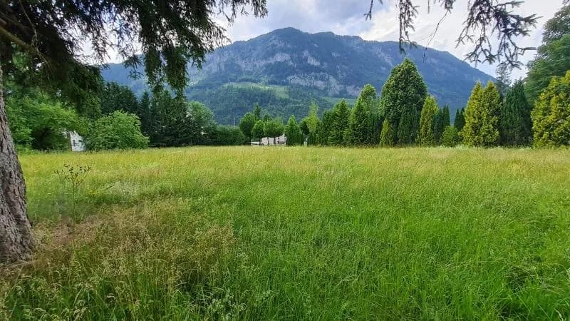 Grundstück kaufen in Kirchdorf an der Krems – 3 554 m², € 375.000