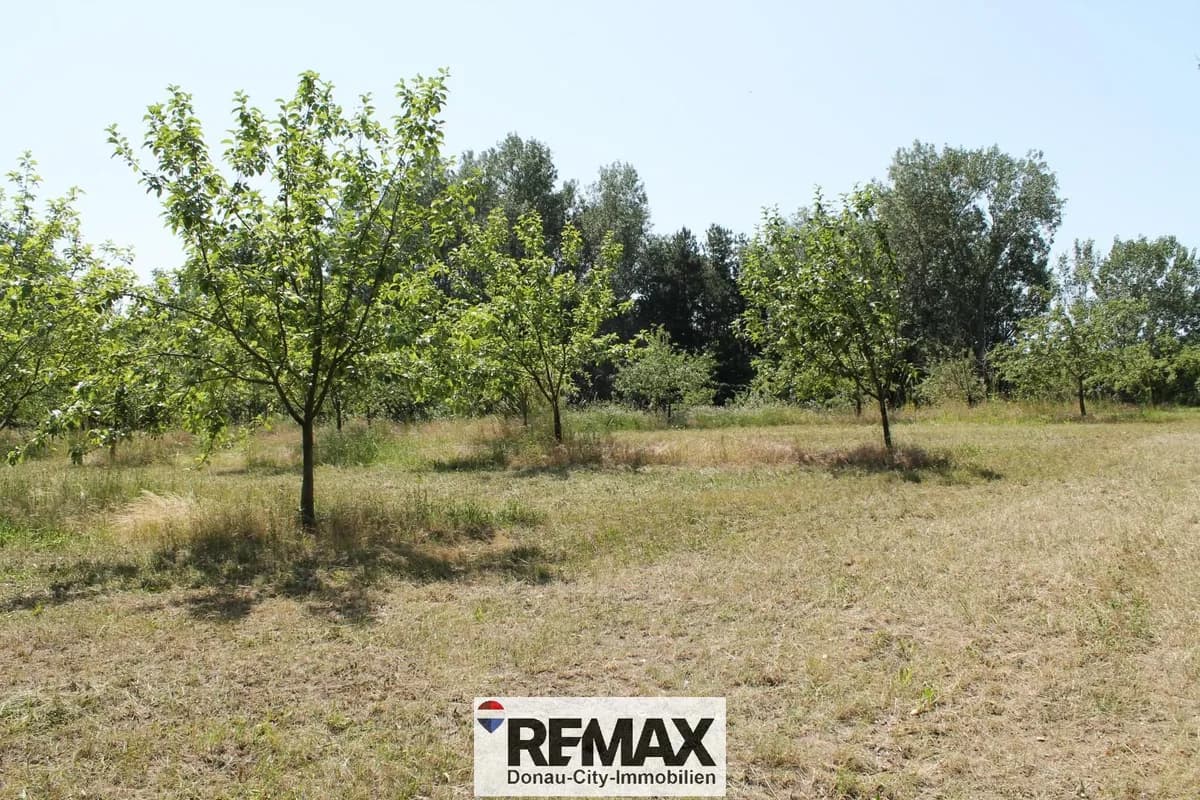 Grundstück kaufen in Korneuburg – 5 023 m², € 199.000 – Bild 3 von 7
