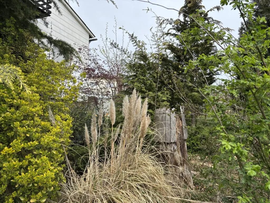 5-Zimmer-Haus kaufen in Oberwart – 110 m², € 159.000 – Bild 12 von 14