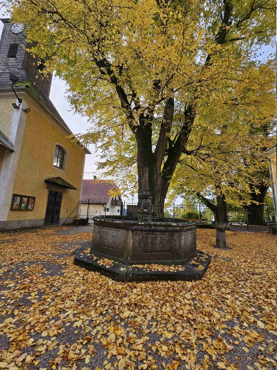 2-Zimmer-Wohnung mieten in Urfahr-Umgebung – 52 m², € 273 – Bild 2 von 7