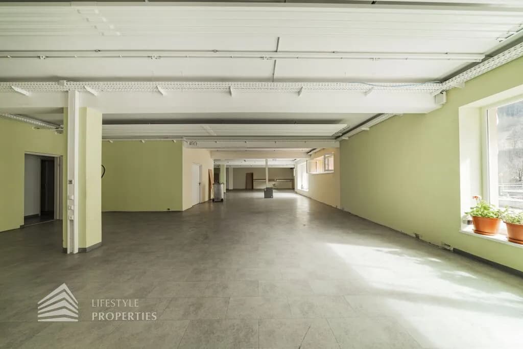 Gewerbeimmobilie kaufen in Scheibbs – 2 060 m², € 700.000 – Bild 5 von 13