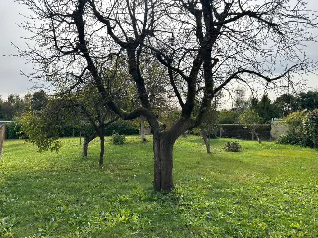 5-Zimmer-Haus mieten in Graz-Umgebung – 90 m², € 350 – Bild 5 von 23