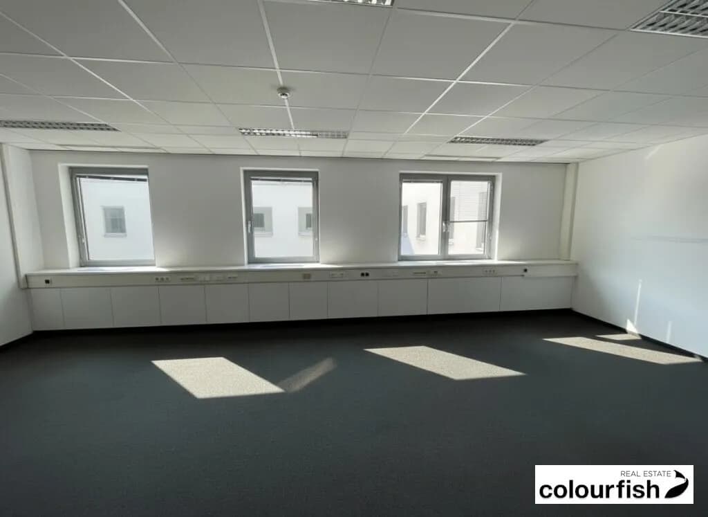 Gewerbeimmobilie mieten in Wien – 494 m², € 9.491 – Bild 5 von 7