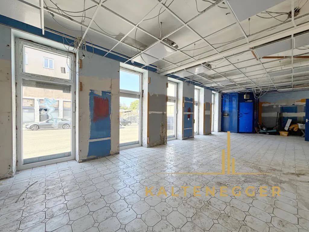 Gewerbeimmobilie mieten in Wien – 130 m², € 806 – Bild 2 von 10