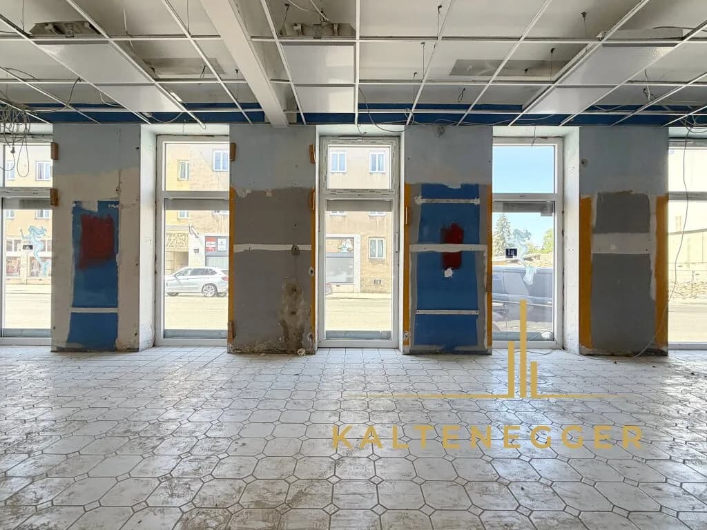 Gewerbeimmobilie mieten in Wien – 130 m², € 806 – Bild 3 von 10