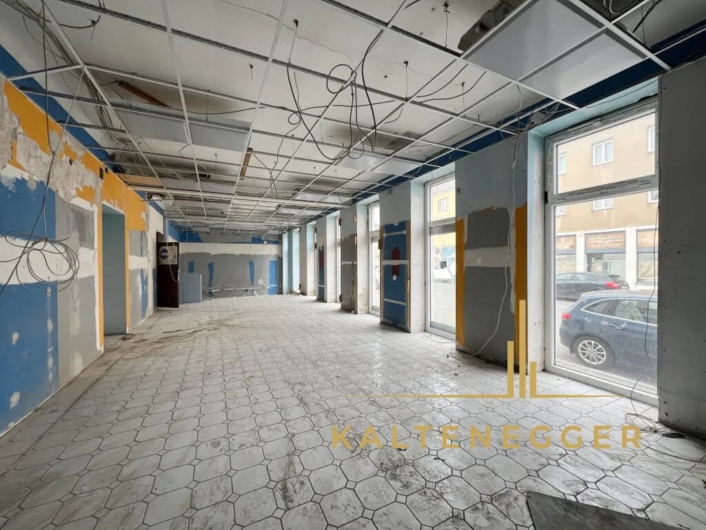 Gewerbeimmobilie mieten in Wien – 130 m², € 806 – Bild 6 von 10