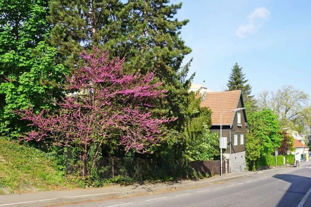 Grundstück kaufen in Wien – 536 m², € 800.000 – Bild 2 von 11