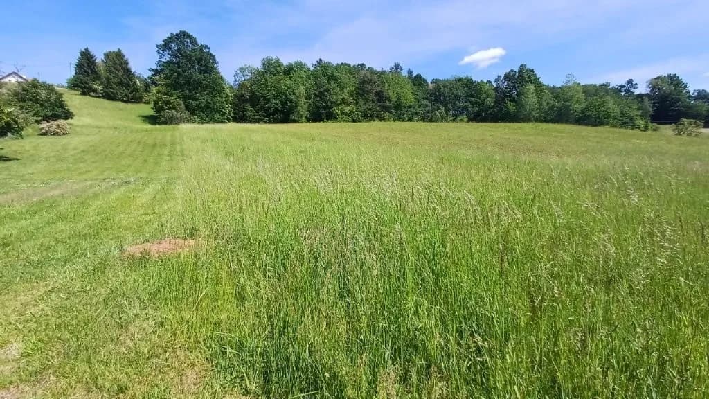 Grundstück kaufen in Jennersdorf – 19 984 m², € 325.000 – Bild 3 von 12