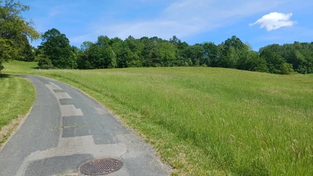 Grundstück kaufen in Jennersdorf – 19 984 m², € 325.000 – Bild 5 von 12