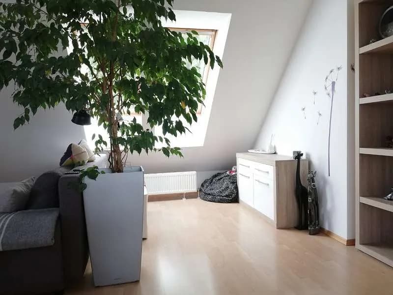 1-Zimmer-Wohnung mieten in Melk – 60 m², € 781 – Bild 10 von 25