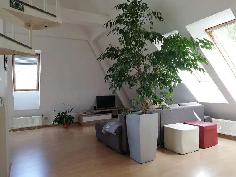 1-Zimmer-Wohnung mieten in Melk – 60 m², € 781 – Bild 11 von 25