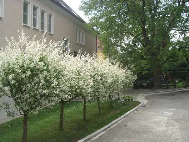 1-Zimmer-Wohnung mieten in Melk – 60 m², € 781 – Bild 22 von 25