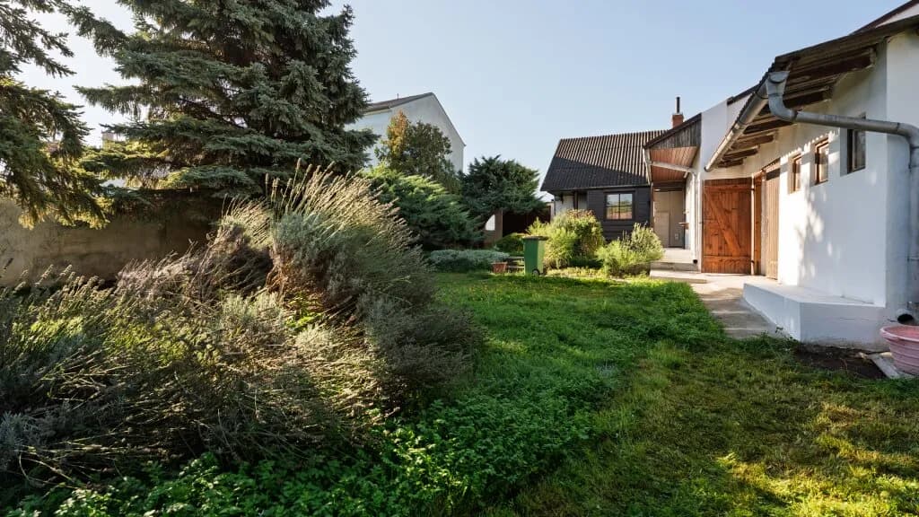 Haus kaufen in Gänserndorf – 60 m², € 279.000 – Bild 3 von 21