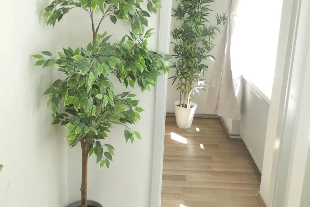 Wohnung mieten in Wien – 40 m², € 750 – Bild 10 von 10