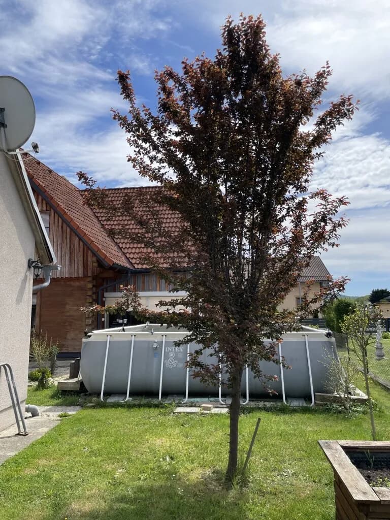 4-Zimmer-Haus kaufen in Leibnitz – 126 m², € 369.000 – Bild 6 von 37